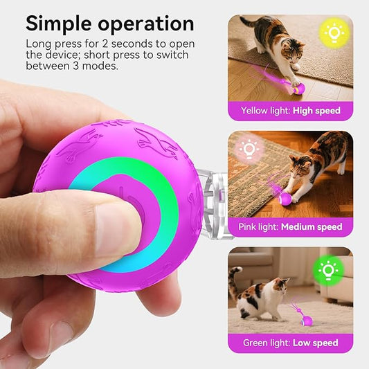 Interactive Cat Toys Ball for Indoor Cats,Automatic Kitten Toys for Bored Indoor Adult Cats,Motion Activated,USB Rechargeable(Purple)