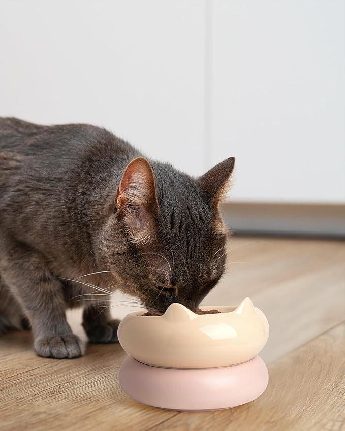 Cat Bowl, Ceramic Cat Bowls Food and Water Bowl Set, Whisker Friendly Cute Kitten Food Bowls for Protecting Pet's Spine, Yellow & Pink