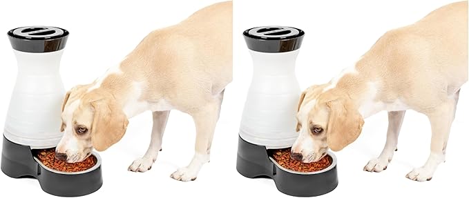PetSafe Healthy Pet Food Station - Medium, 4 lb Kibble Capacity - Gravity Pet Feeder Dry Food Dispenser, Automatic Cat Feeder, Small to Medium Dog Feeder - Removable Stainless Steel Bowl Included