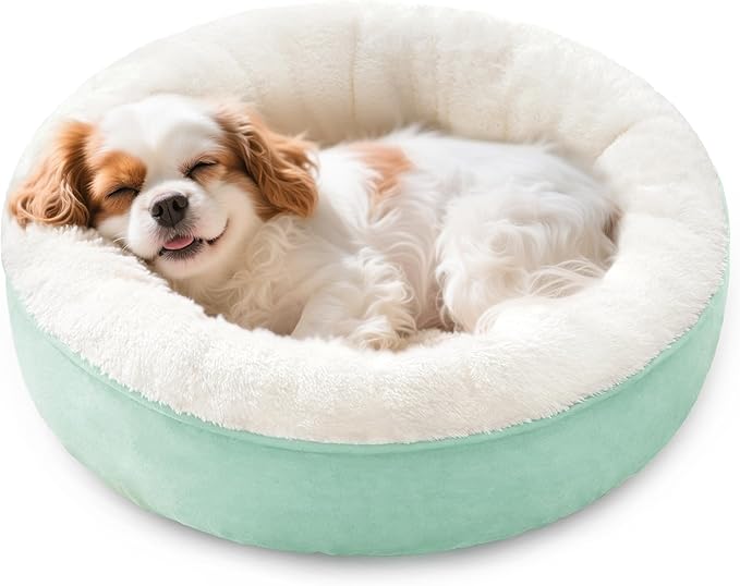 Love's cabin Round Donut Cat and Dog Cushion Bed, 25in Pet Bed for Small or Medium Dogs, Anti-Slip & Water-Resistant Bottom, Soft Durable Fabric Pet Beds, Washable Calming Cat & Dog Bed Teal
