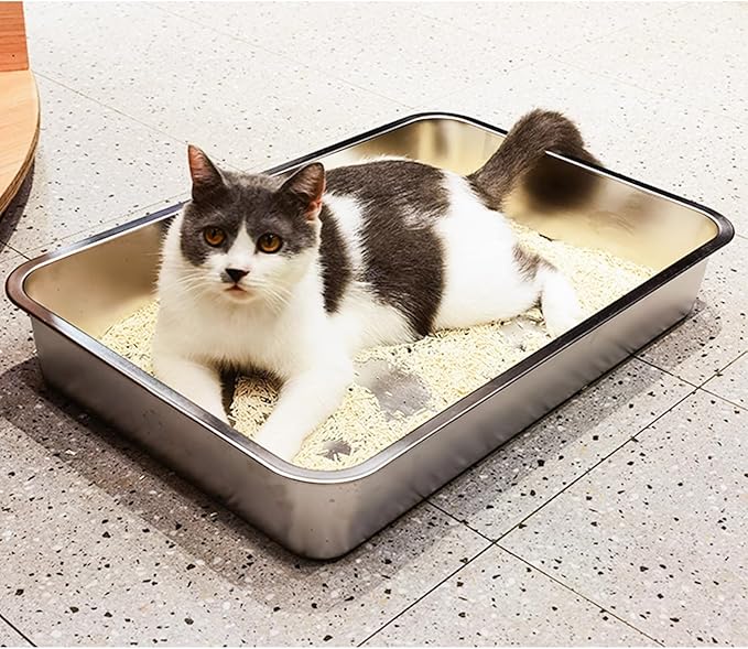 LIHONG Stainless Steel Cat Litter Box,Large Metal Litter Box for Small Large Cats Kitty Rabbits,No Smell,Non Stick,Easy to Clean(20" Lx14 Wx4 H,L)