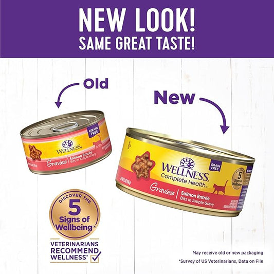 Wellness Complete Health Gravy Adult Wet Cat Food, Natural, Protein-Rich, Grain Free, 5.5 Ounce, 12 Pack, (Salmon Entree)