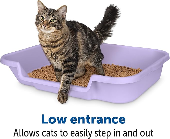 KittyGoHere Senior Cat Litter Box 2 Pack, Large Storybook Lavender Low Entrance Kitty Litter Box, Sized for Cats Comfort, Perfect for Senior & Arthritic Cats, Made in USA, With Long-handle Jumbo Scoop