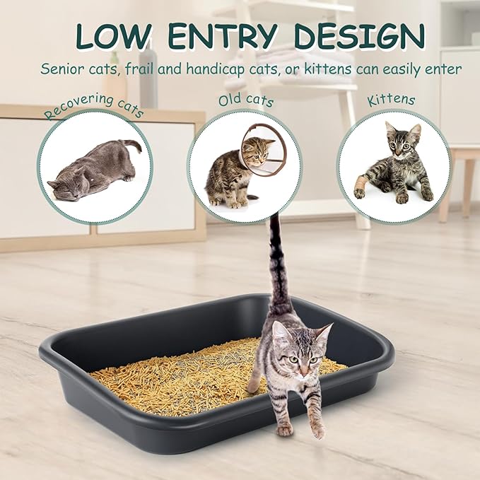 3 Pcs Large Cat Litter Box, Low Entry Senior Cat Litter Box Open Top Pet Litter Boxes Tray for Big Older Cats Kitten Sick Frail or Disabled Cat, 23.2" L x 16.5" W (Green)