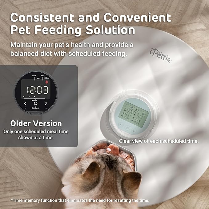 [Stainless Steel Food Tray] Brioche Automatic Wet Food Feeder for Pets - True 6-Meal Cordless Fresh Can Dispenser with Two Ice Packs, Perfect for Newborn Senior Sick Cats and Small Dogs