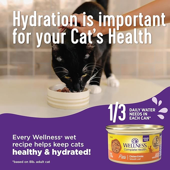 Wellness Complete Health Minced Adult Wet Cat Food, Natural, Protein-Rich, Grain Free, 5.5 Ounce, 24 Pack, (Tuna Entrée)