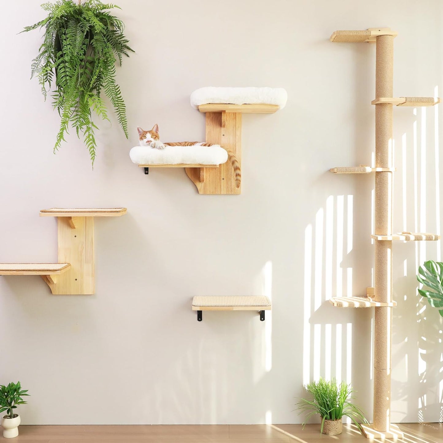 FUKUMARU Cat Wall Shelves, 2 Platform Cats Walls Furniture, Tree Shape Kitten Floating Shelf with Soft Cushion Perch, Solid Rubber Wood for 16 Inch Drywall, Suitable for Climb, Play, Nap
