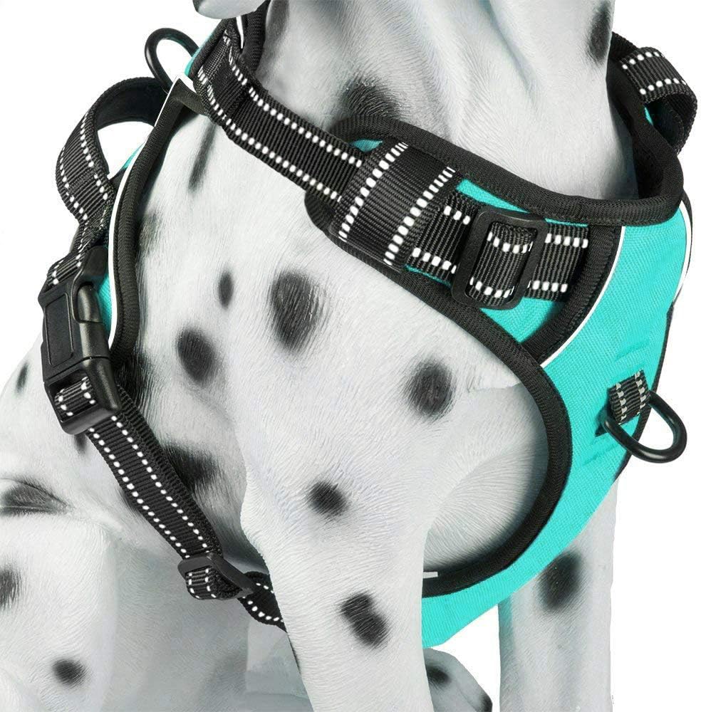 PoyPet No Pull Dog Harness, Reflective Comfortable Vest Harness with Front & Back 2 Leash Attachments and Easy Control Handle Adjustable Soft Padded Pet Vest for Small to Large Dogs (Mint Blue,XS)