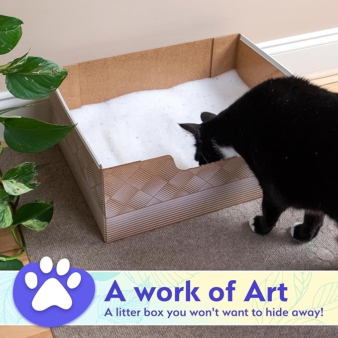 Leakproof Disposable 2-Pack Cat Litter Box Only - Made in The USA | Unmatched Odor Control | Recyclable — Kitty Poo Club