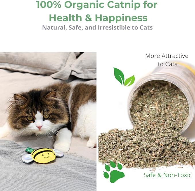 Eco-Friendly Cat Gift Box – 7-Piece Set with Organic Catnip Toys, Feather Wand, Blanket & Pop-Up Cat Cave for Indoor Cats and Kittens