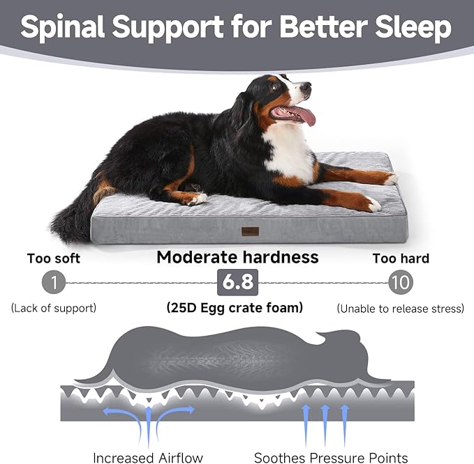 OhGeni Orthopedic Waterproof & Machine Washable Dog Bed for Extra Large Pets, Suitable for Crates, Cat Mat with 25D Egg Crate Foam, Non-Slip Bottom & Removable Cover, Invisible Zipper, 47 Inches(Gray)