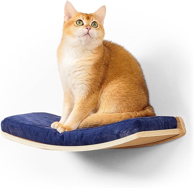 Curved Cat Shelves and Perches, Floating Cat Wall Bed with Comfortable Cushion