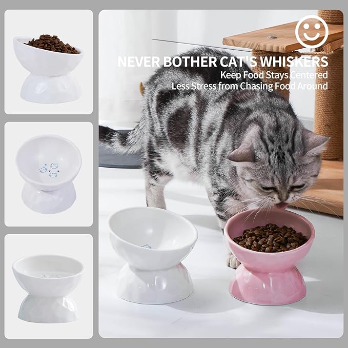 AOMRYOM Ceramic Tilted Raised Cat Food and Water Bowl Set, Elevated Stress Free Feeding Pet Bowl Dish for Cats and Small Dogs, Protect Cat's Spine, White & Pink, Set of 2