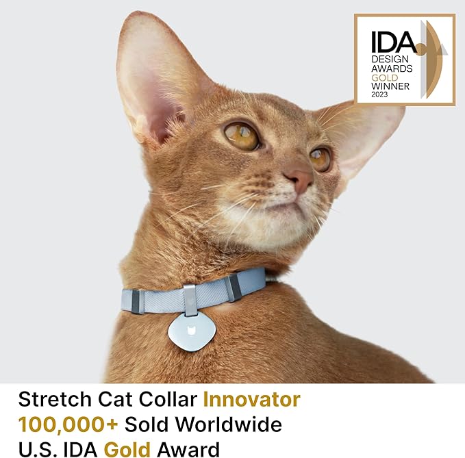 Safety Cat Collar and ID Tag Set - Elastic Quick Release, Non Breakaway Cat Collar Personalized Anodized Aluminum Pet Name Tag, Lightweight for Kitten and Small Large Cats