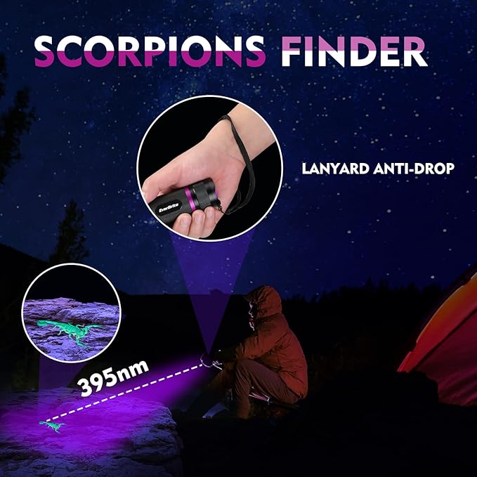 EverBrite UV Flashlight, 51 LED Blacklight Flashlights, 395nm Black Light Flashlight for Pet Urine Detection, Scorpions, Dry Stains, Bed Bug (Batteries Included)