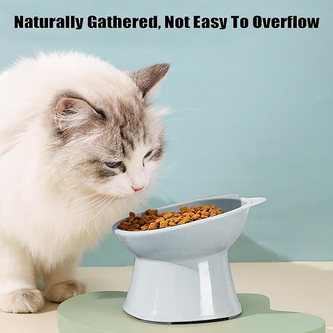GKYZBB Elevated Cat Bowls, 15° Tilted Raised Cat Food Bowl Anti-Vomiting,Dog Kitten Food Dishes Pet for Cats and Small Dogs (Blue)