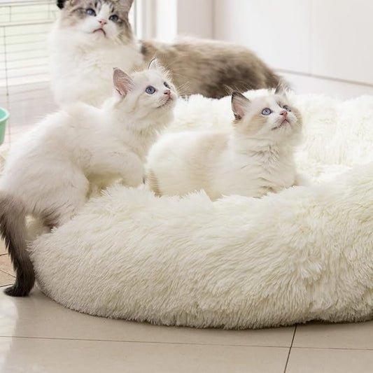 Anti Anxiety Round Fluffy Plush Faux Fur Warm Washable Dog Bed & Cat Bed, Original Bed for Small Medium Large Pets,Used to Relieve Joints and Improve Sleep（20"/24"/27''） (24", White)