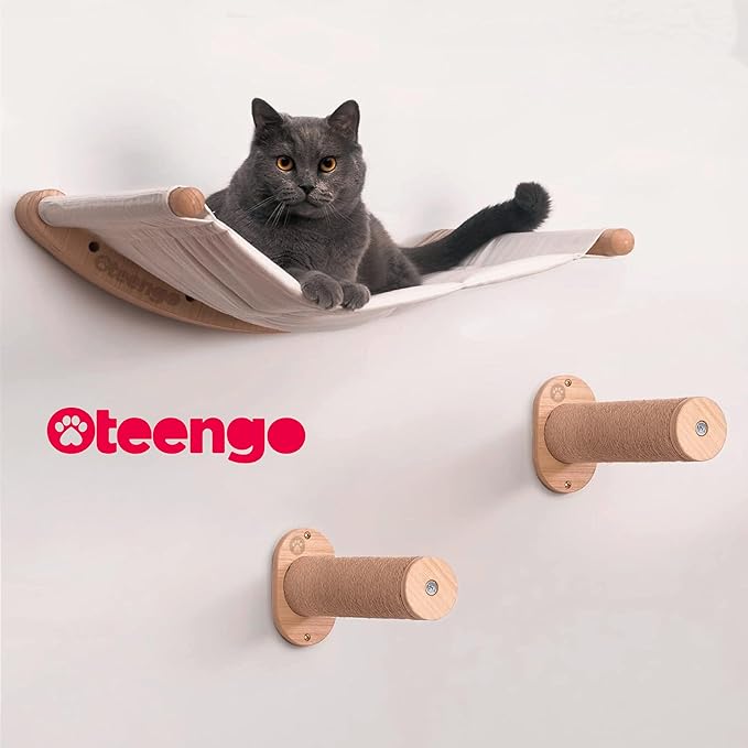 Cat Wall Shelves for Large Cats Set with Hammock, Steps & Scratching Pad - Solid Wood Mounted Climbing Furniture, Indoor Perch and Bed Wall System