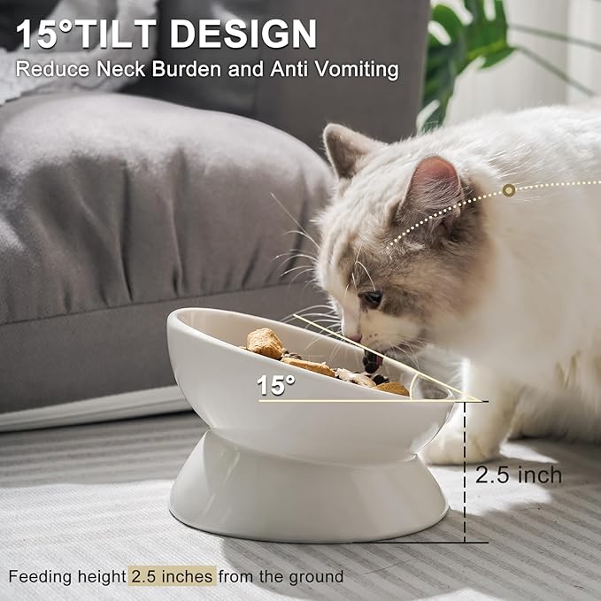 YauYik Cat Bowl Elevated Tilted - Ceramic Raised Cat Food Bowl for Cats and Small Dogs - 6 Inches Stress Free Whisker Friendly Pet Dish, Anti Vomit & Reduce Neck Burden Feeding, White, 10 Oz