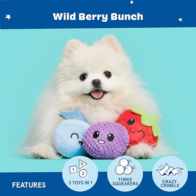 Barkbox Wild Berry Bunch Multi Part Toy for Dogs and Puppies - Small Breeds