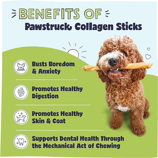 Pawstruck Natural Large 12" Beef Collagen Sticks for Dogs – Long-Lasting Rawhide Alternative, High Protein Treats with Chondroitin & Glucosamine – 5 Pack