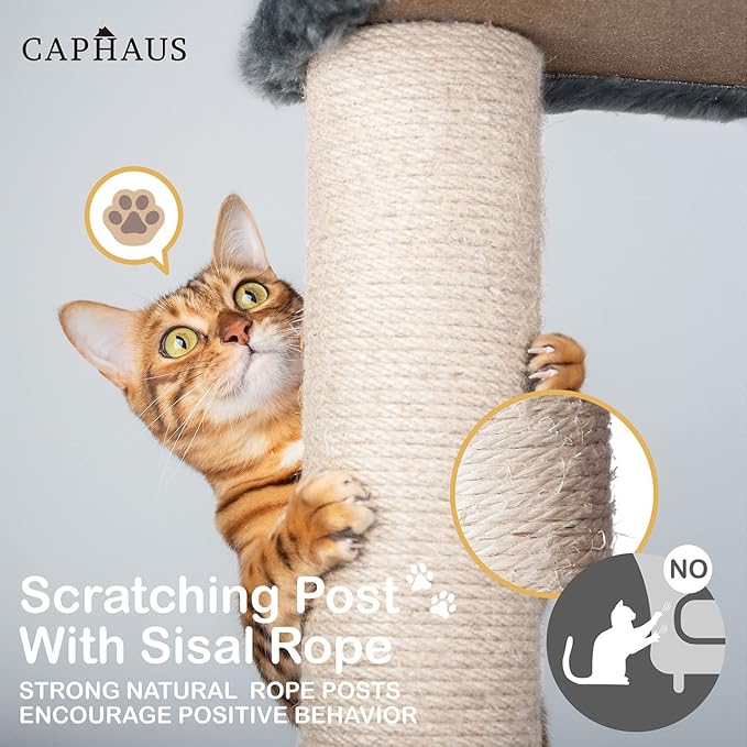 CAPHAUS Kittens Tower with 2-Door Large Cave Condo, Activity Indoor Cat Tree with Large Widened Perch, Multi-Level with Cute Cats Scratching Posts, Modern Ramp, 37-Inch Activity Tree for Small Cats