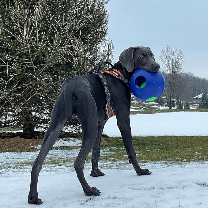 Jolly Pets Teaser Ball Dog Toy, Large/8 Inches, Blue, Model Number: 1508 BL