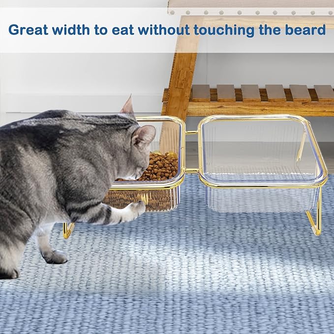 2PCS Elevated Double Cat Bowls,5.7" Pets Water and Food Bowl 15°Tilted Transparent Raised Kitten Food Feeding Dishes with Iron Stand Anti Slip Kitty Dishs Rose Gold Bowl Set for Kittiens