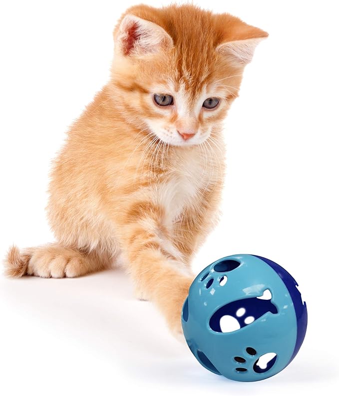 Pets First Large Size Cat Ball with Bell Toy for Cats Kittens and Other Animals - Hours of Play for Pets | Large Size for Extra Fun | Rings As It Moves