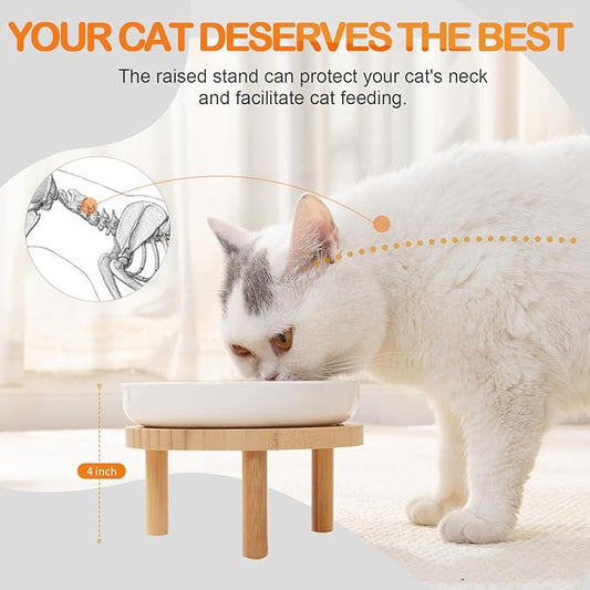 Raised Slow Feeder Cat Bowl, 5.9 Inch Wide Shallow Ceramic Elevated Glass Food Bowl Puzzle Feeders, Anti Vomit Cat Dish, Whisker Friendly Pet Plates Feeding Station for Indoor Cats, Kitten(1 Set)