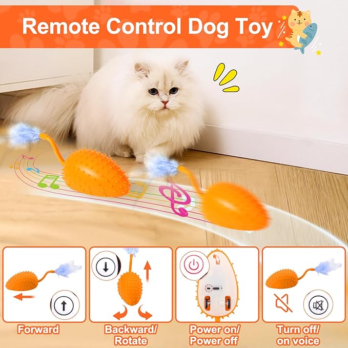 Mity rain Cat Interactive Toys for Indoor Cats, Remote Control Toy with Feather Tails, Cat Automatic Toy for Cats Exercise Catching and Chasing, Moving Electric Pet Toy with USB Charger