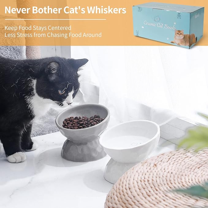 OMAYKEY Ceramic Raised Cat Bowls, Tilted Elevated Cat Food and Water Bowl Set, Porcelain Stress Free Pet Feeder Dish for Cats and Small Dogs, Dishwasher and Microwave Safe, White & Grey, Set of 2