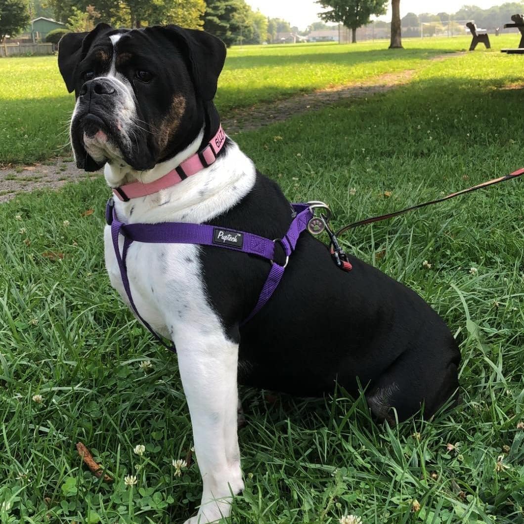 PUPTECK No Pull Dog Harness Soft Adjustable Basic Nylon Step in Puppy Vest Outdoor Walking with ID Tag