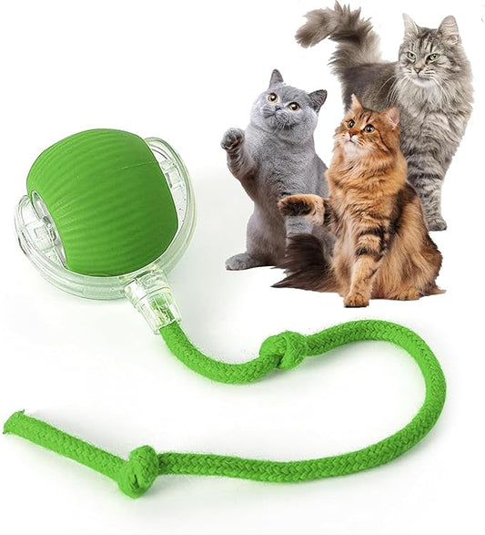 Rocfish Durable Interactive Cat Toys for Indoor Cats, Smart Automatic Cat Chase Ball Toy, Upgraded Speedy Tail Kitten Toy for Bored Indoor Adult Pets (Green)