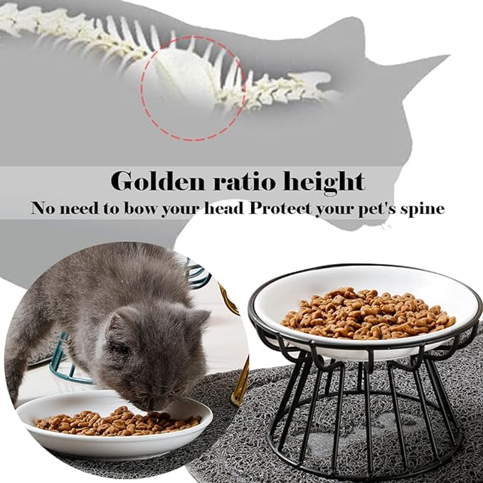 Cat Bowls, Elevated Cat Bowl, Raised Ceramic Dish with Metal Stand, Pet Water or Food Feeding Station for Indoor Cats, Kitten, Puppies and Small Dogs, Dishwasher Safe