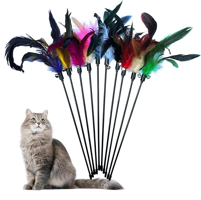 10-Pack Cat Feather Wand Toys with Bell, Natural Feather Interactive Teaser for Indoor Kittens Friendly Cat Toy