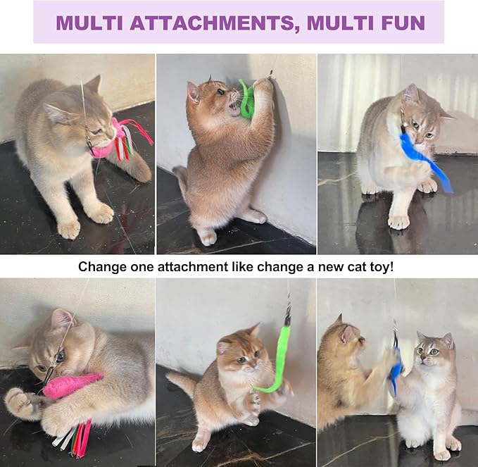11PCS Cat Wand Toy, Cat Interactive Toys for Indoor Cats, 2 Retractable Cat Wand, 7 Worm Cat Teaser Toys and 1 Plush Fish Cat Toy, Cat Feather Toys for Play Chase Exercise with Kitten, Extra 1 Line