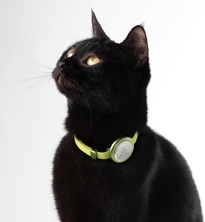 Safety Cat Collar Pro, Lightweight Elastic Release Non Breakaway Cat Collar Adjustable with Snap Fastener for Kitten All Small Large Cats,US IDA Gold Award (Midnight Black, S 5.9-11.8")