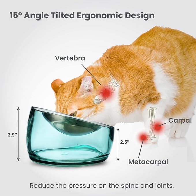 Felli Oblik Elevated Cat Food Bowls 304 Stainless Steel Removable Flat Dish for Whisker Fatigue & Dishwasher Easy Clean, Raised 15° Tilted Stand Non Slip, Wide Metal Plate Anti Vomit (0.5Cup, Classic)