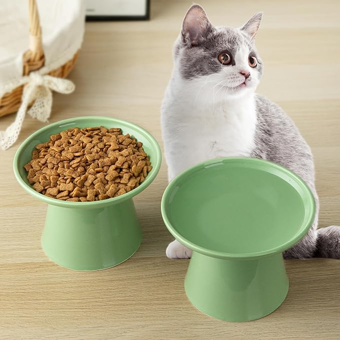 6.2 Inch Extra Wide Elevated Ceramic Cat Bowls, Food and Water Bowl Set for Elder Big Cats Small Dogs, Raised Design for Pet Easy Eating, Protect Cat's Spine Set of 2(Light Green)