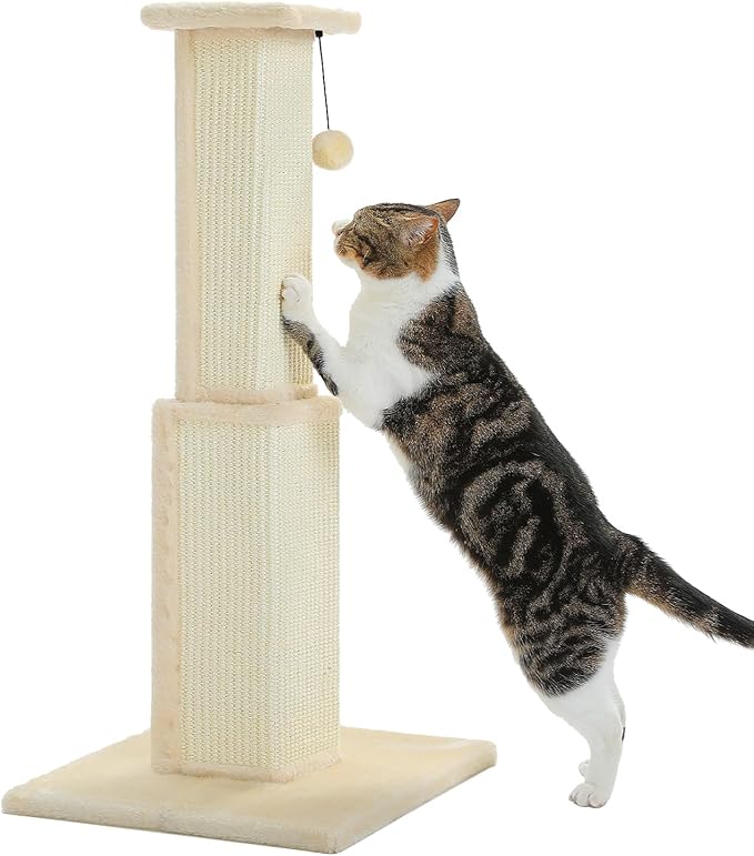 PAWZ Road Large Cat Scratching Post 32” Tall Scratching Post for Indoor Cats Adults Ultimate Scratch Post with Woven Sisal, Large Base and Removable Dangling Ball- Beige