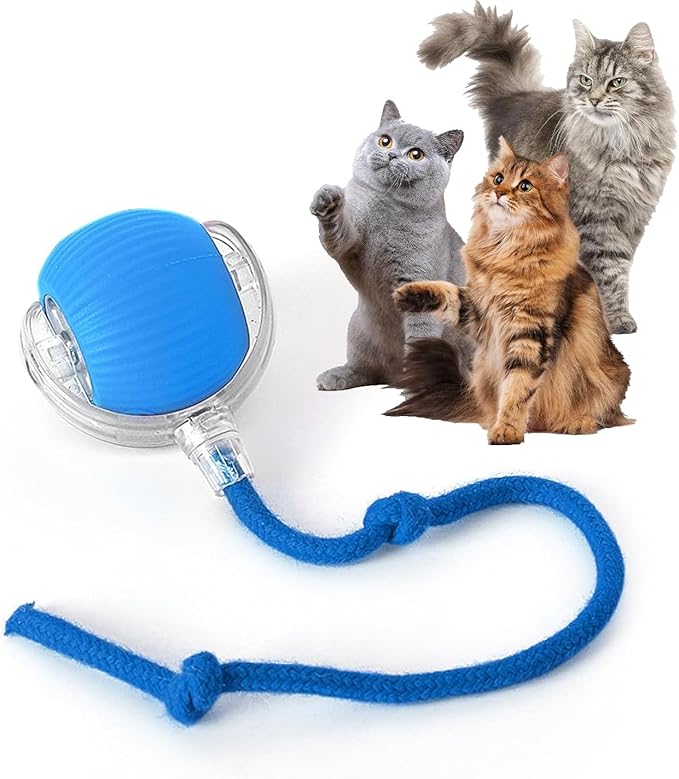 Rocfish Durable Interactive Cat Toys for Indoor Cats, Smart Automatic Cat Chase Ball Toy, Upgraded Speedy Tail Kitten Toy for Bored Indoor Adult Pets (Blue)