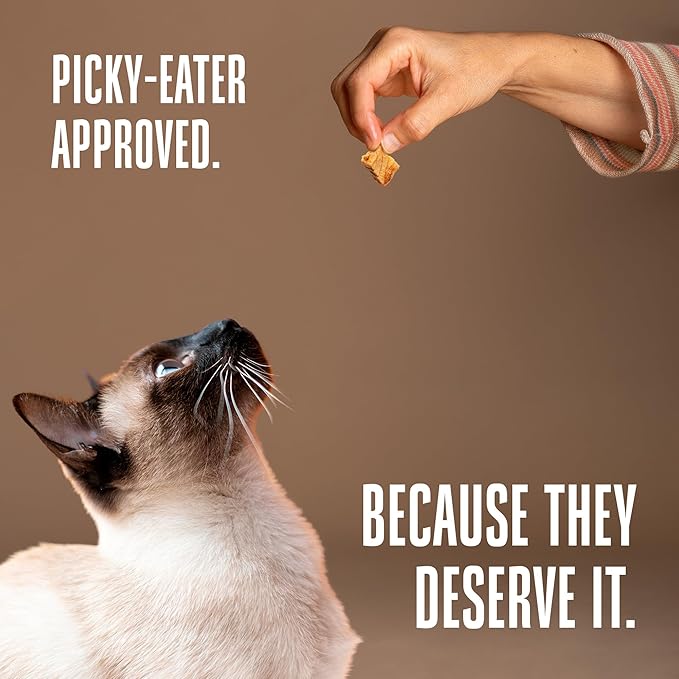 Whole Life Cat Just One Salmon Freeze Dried Cat Treats - Human Grade High Protein Food, Healthy Training Snacks, Freeze Dried Salmon Food Toppers, USA Made Natural Treats - 7.5 oz (Pack of 1)