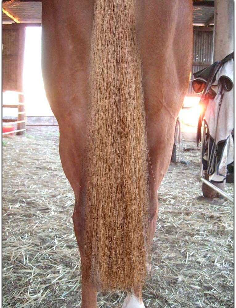 Horse Tail Extensions with Braided Horsehair Loop, Blunt Cut Bottom, 34-36 inches Long and 1 lb Weight (Mixed Brown)