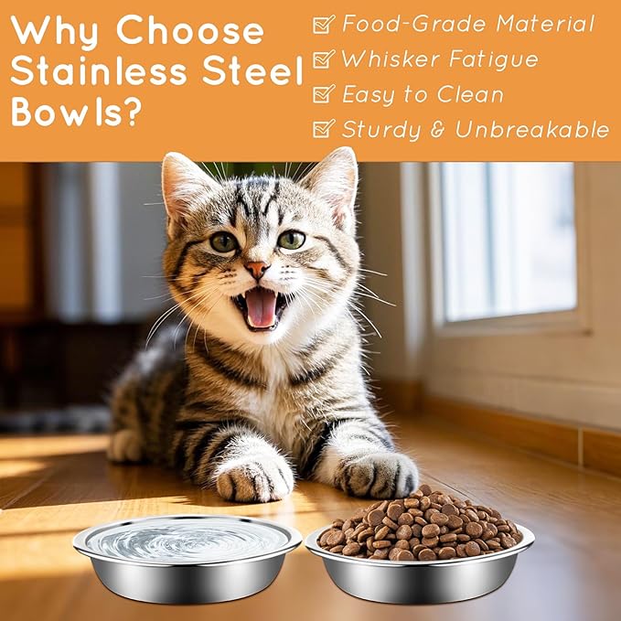 12Pcs Cat Bowls,Stainless Steel Cat Food Bowls,Metal Cat Dishes Whisker Fatigue Relief,Shallow Cat Food Dish for Indoor Kitten,Replacement Basic Cat Plates for Elevated Stand(5.5 Inch)