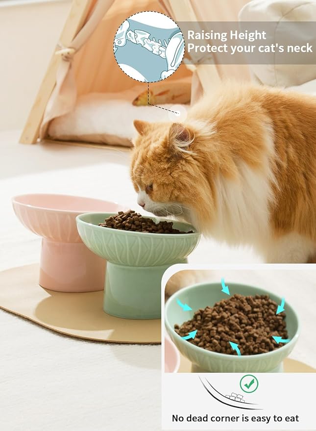 OMAYKEY Extra Wide Raised Cat Bowls, 6.5 Inch Wide Ceramic Tilted Elevated Cat Bowl, Prevent Neck & Whisker Fatigue, Anti Vomit for Cats Puppies, Dishwasher and Microwave Safe, 2 Pack