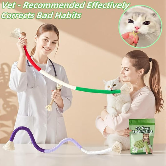 Cat Toys 3Pack Cat Grass Treat Catnip Toy with Silvervine for Indoor Kitten Toys Wood Cat Chew Rope Kitten Grass Sticks for Teeth Cleaning Cat Snack for Kitty Cat Nip Dental Care Cat Self Play