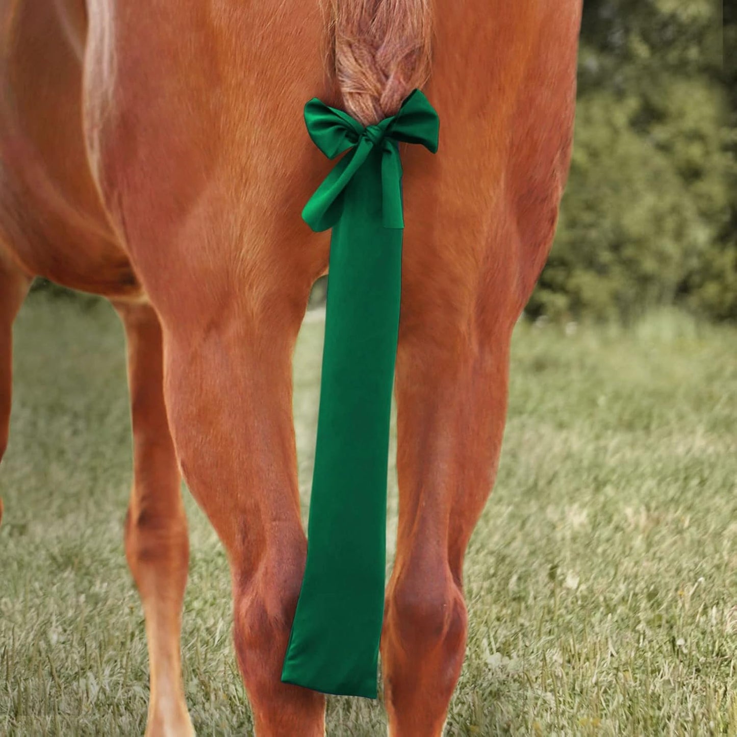 Harrison Howard Stretchy Tail Bag Breathable Horse Tail Guard Slip on Design Protect Horse Tail 2 Strand Closure Straps Keep Tail Clean & Protected 22" L Length Makes Grooming Easy-Deep Green