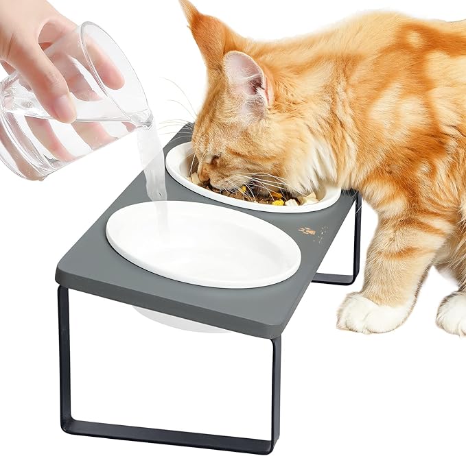 Sunhoo Ceramic Elevated Cat Bowls Raised Puppy Dishes for Food and Water Tilted Wooden Stand for Indoor Cats 5.5 inch Wide Double Dish Orthopedic Reduces Vomiting (Grey)