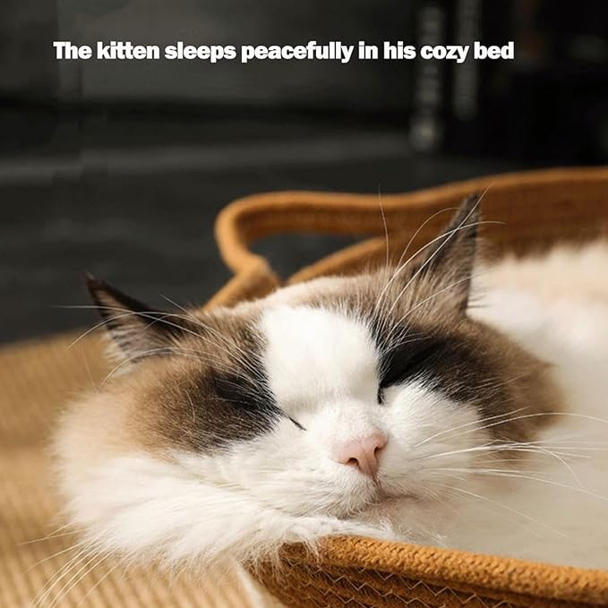 Cutypet Cat Basket, Cuty Pet Basket, Handwoven Cotton Rope Cat Bed, cat Scratch Bed with Built-in Teasing Ball, Breathable & Easy to Clean and Detachable Pad (Brown, Small)